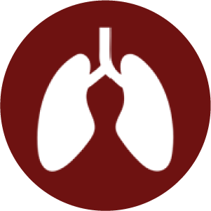 1744781924_Icon 14.png